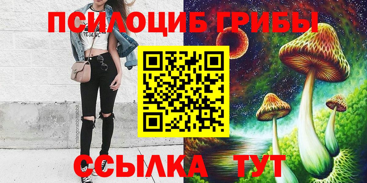 Псилоцибиновые грибы Cubensis  Вход с VPN  Кубинка 