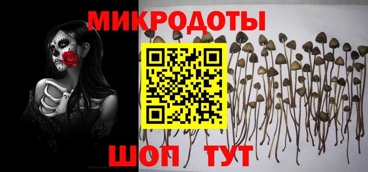Псилоцибиновые грибы Cubensis Кубинка